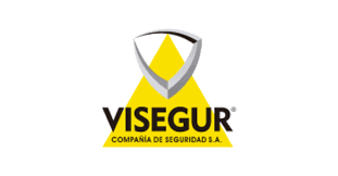 Información sobre la Alarma Visegur, Precios y Opiniones logo visegur